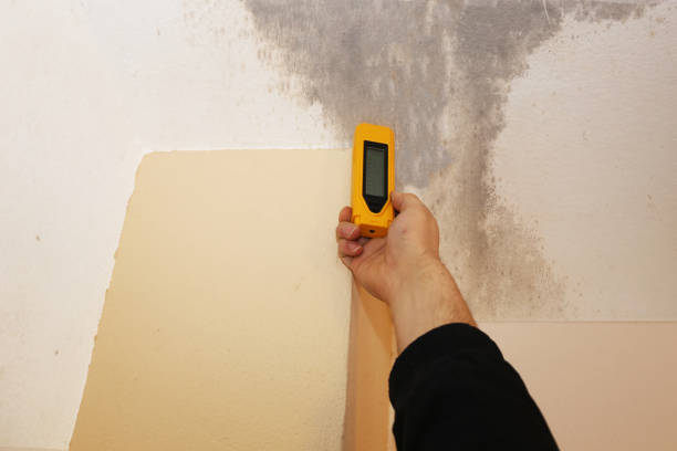 Mold Remediation for Rental Properties in Fort Valley, AZ