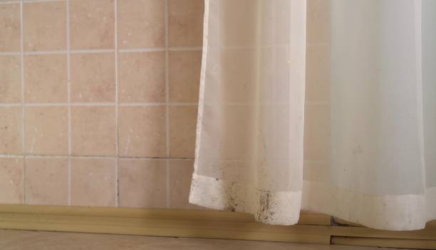 Best Environmental Consulting for Mold Prevention  in Fort Valley, AZ