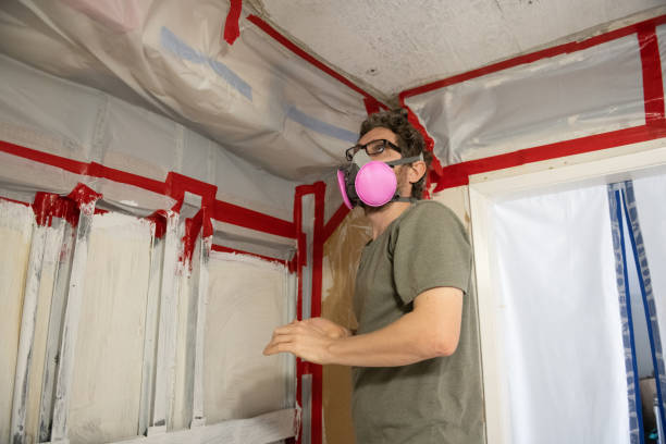 Best Air Quality Testing for Mold Spores  in Fort Valley, AZ