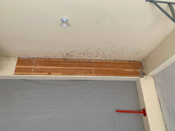 Best Indoor Air Quality Assessment  in Fort Valley, AZ