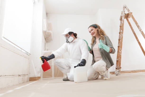 Best Asbestos and Lead Testing During Mold Inspection  in Fort Valley, AZ