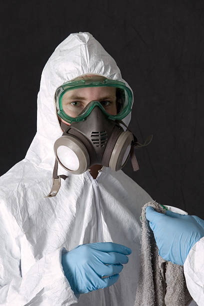 Best Mold Odor Removal Services  in Fort Valley, AZ